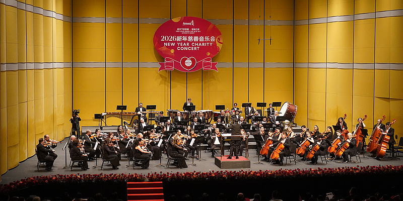 2026����������ֻ������������ǿ�� �ж����Ϻ�����