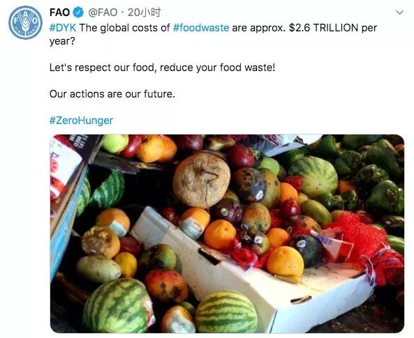 海外慈善把好好的食物倒掉我们不允许